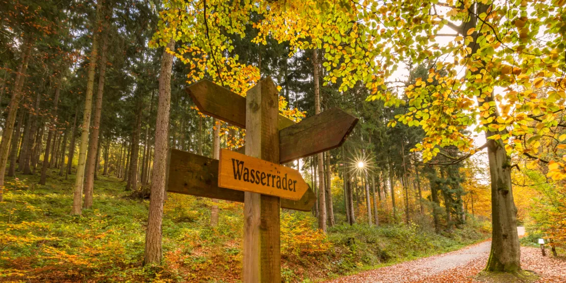Wanderspaß zu jeder Jahreszeit: Der Deister im Herbst